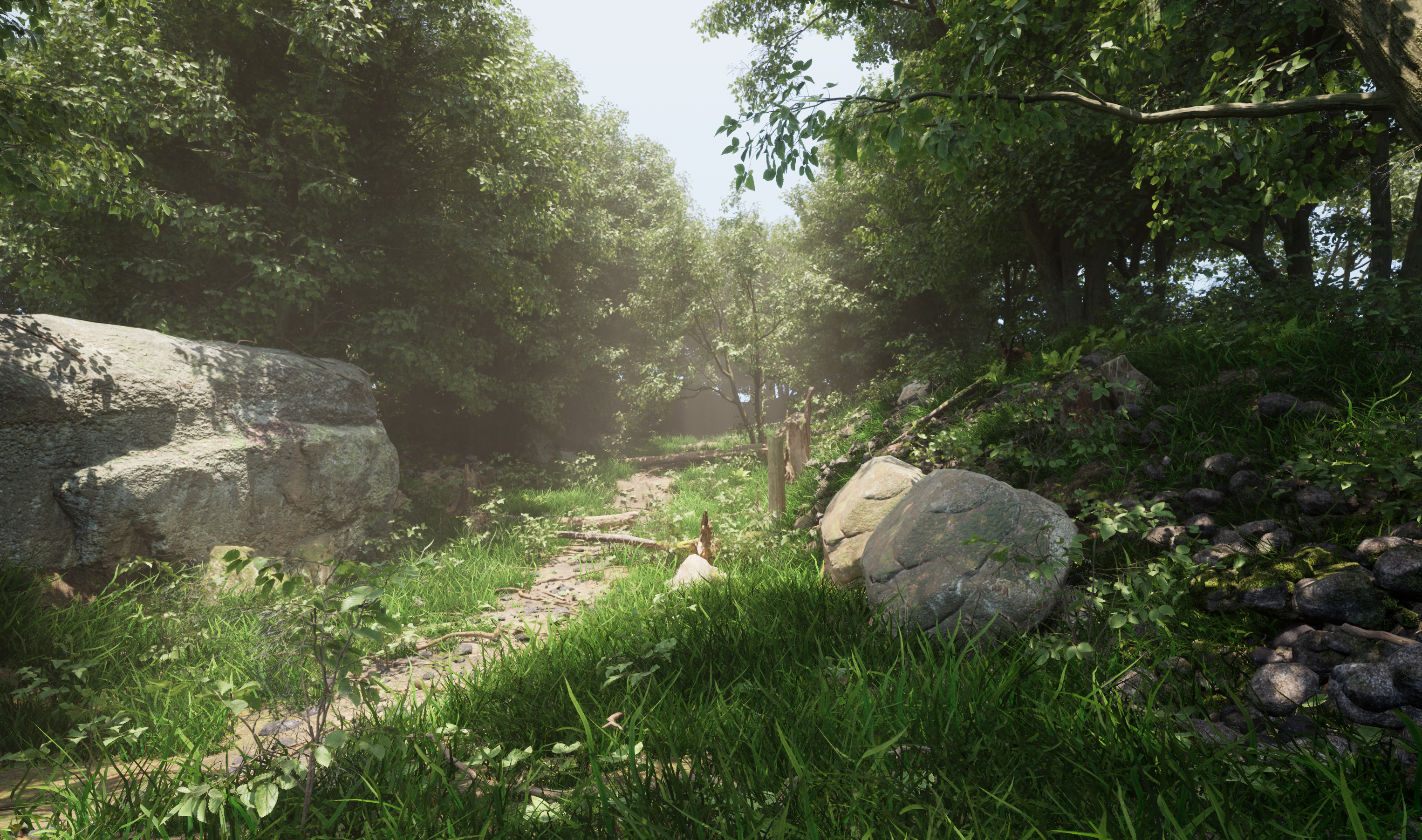 Environment & Props
